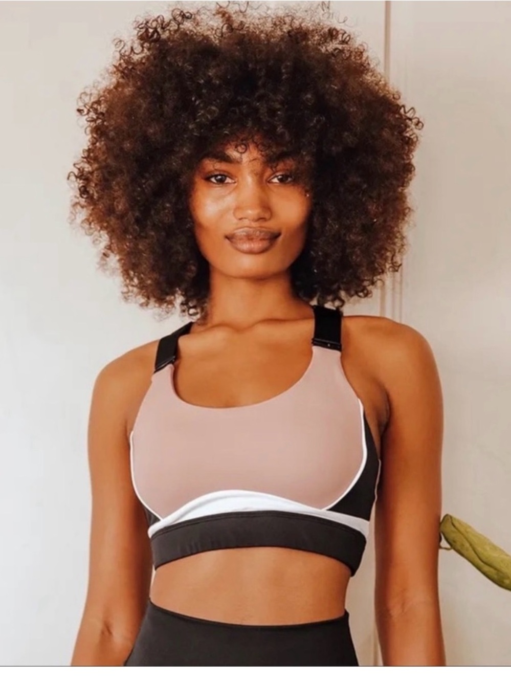 Allie I  Women's Khaki & Black Sports Bra